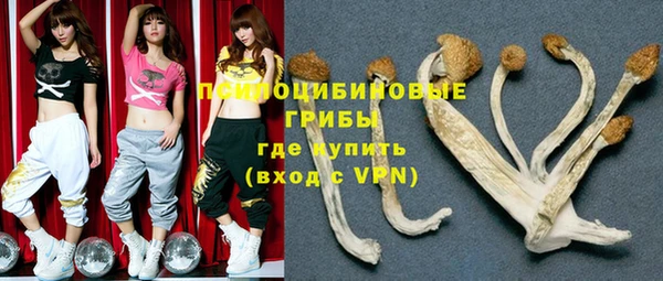 прущие крисы Балахна
