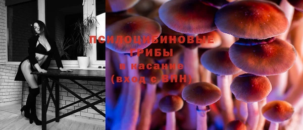 прущие крисы Балахна