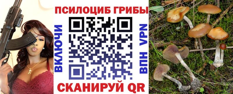 Псилоцибиновые грибы Magic Shrooms Верхнеуральск