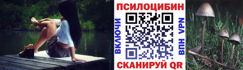как найти наркотики  Верхнеуральск  Галлюциногенные грибы Cubensis 